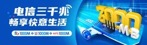 家庭用户